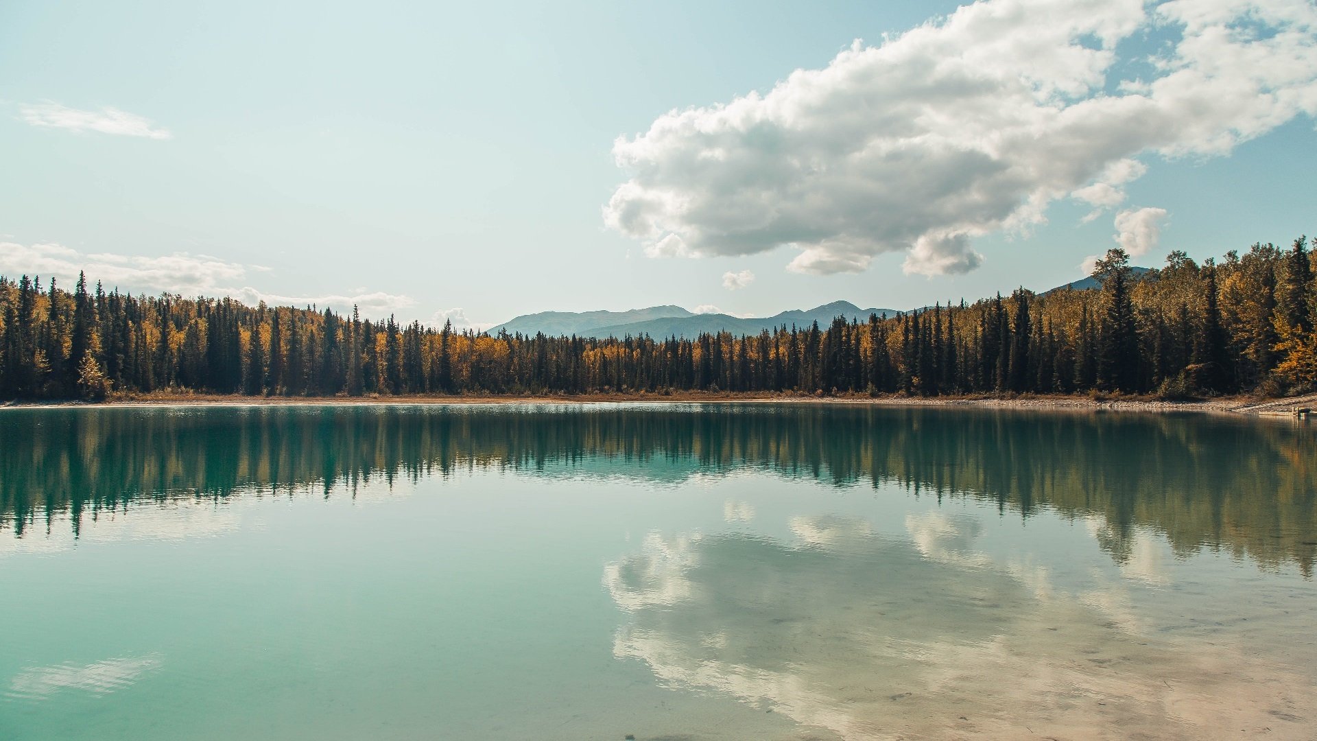 “青训+文化+旅游”深度融合模式在全国多地落地生根，行业持续繁荣