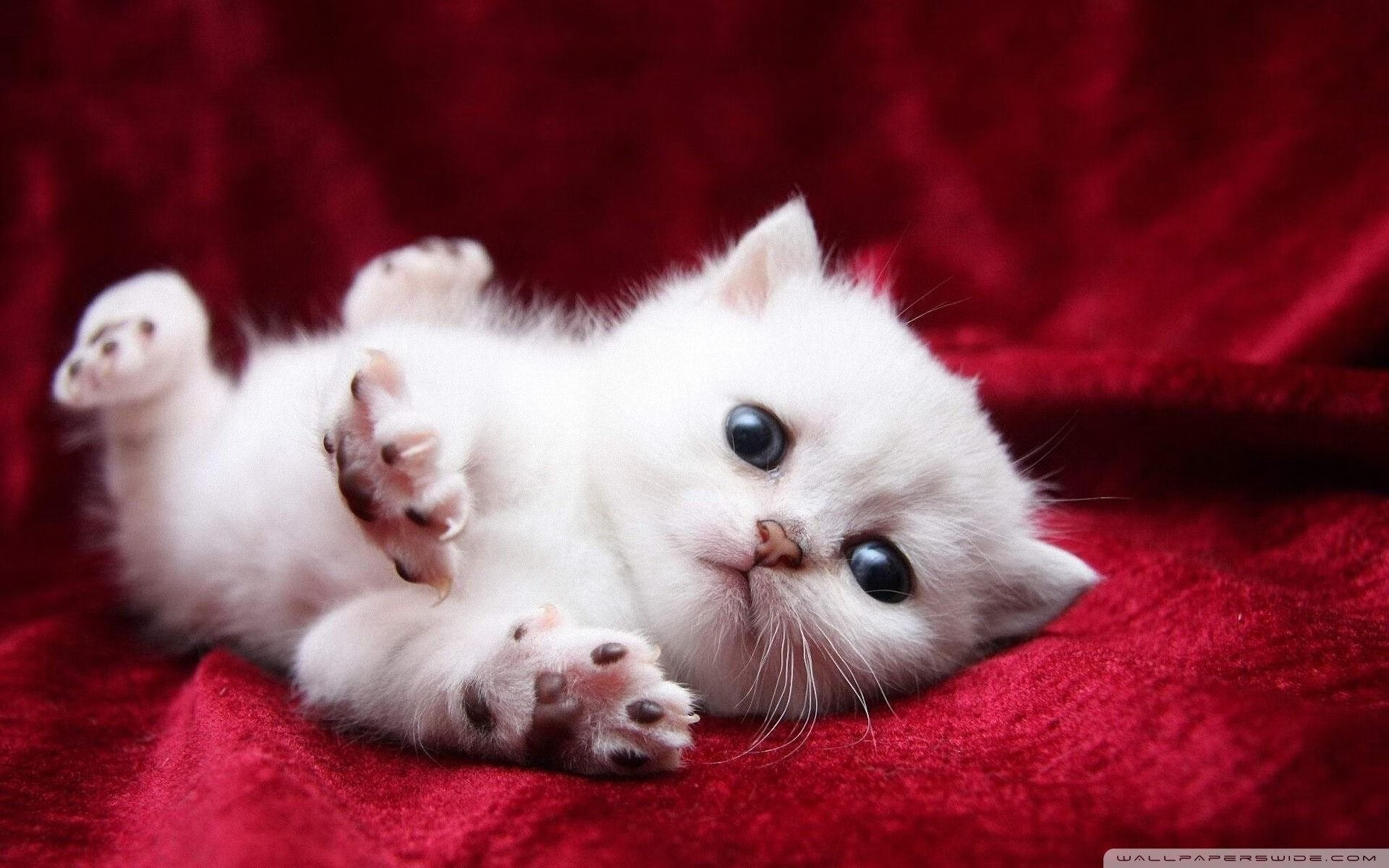 全国登山挑战赛，攀登高峰激发无限潜能，全国登山大会